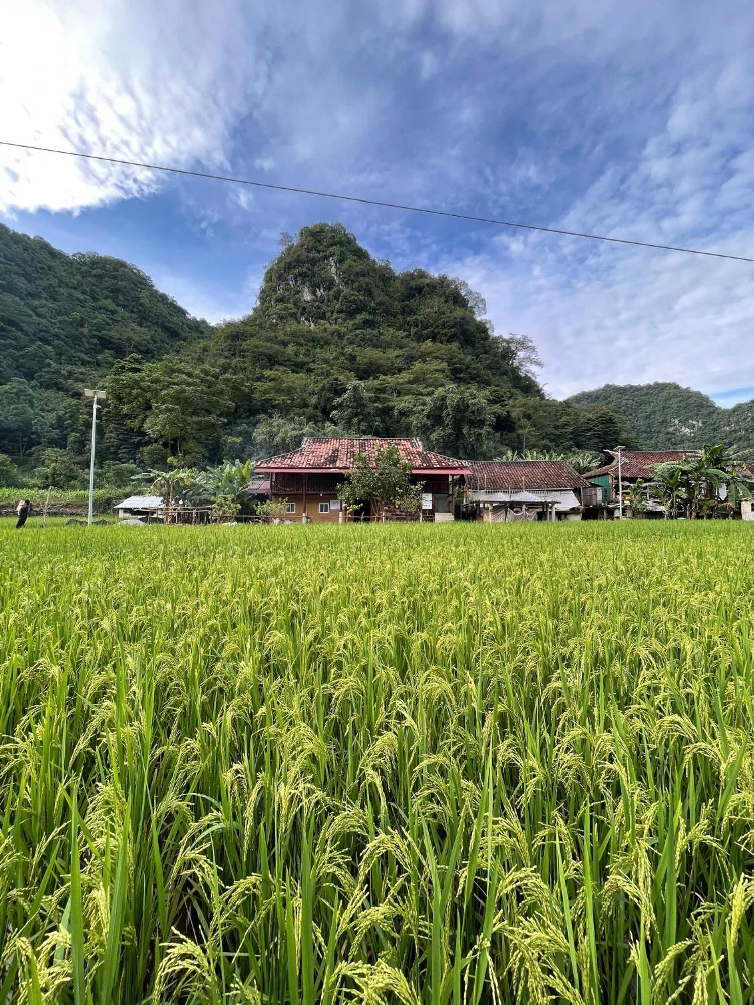 Nung An Homestay Quang Uyen Exterior foto